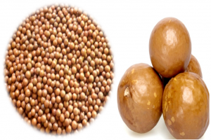 Gedroogde macadamianoot from Rwanda